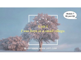 I was born in a small villagemy past life PPTѧμ