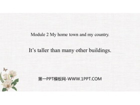 It's taller than many other buildingsMy home town and my country PPTn