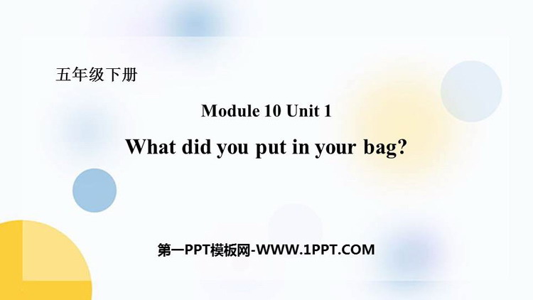 What did you put in your bag?PPTMn