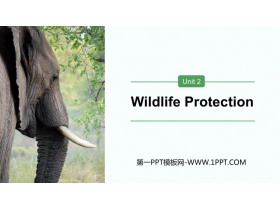 Wildlife ProtectionPPT