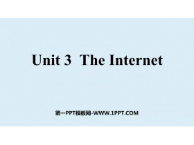 《The Internet》PPT课件