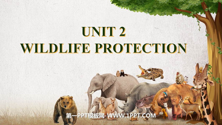 Wildlife ProtectionPPTn