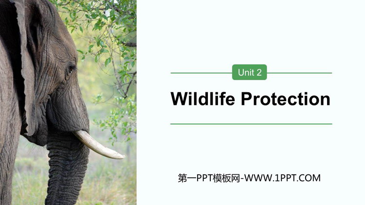 Wildlife ProtectionPPTd