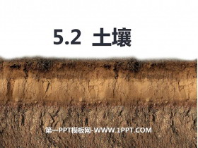 《土壤》植被�c土壤PPT教�W�n件