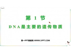 《DNA是主要的�z�魑镔|》基因的本�|PPT教�W�n件