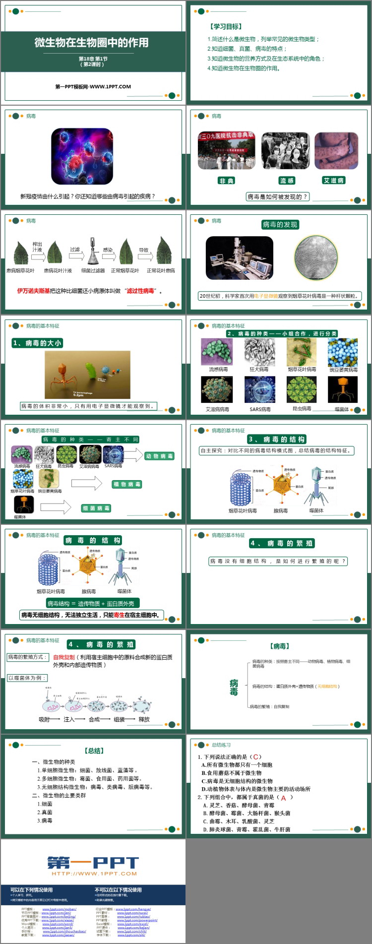 《微生物在生物圈中的作用》PPT课件下载(第2课时)