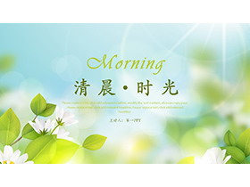 清新绿叶白花背景的“清晨时光”PPT模板