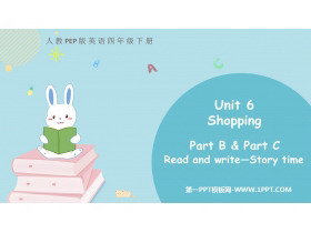 ShoppingPartB PPTMn(3nr)