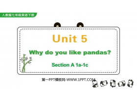 Why do you like pandas?SectionA PPŤWn(1nr)