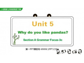 Why do you like pandas?SectionA PPŤWn(3nr)