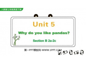 Why do you like pandas?SectionB PPŤWn(2nr)