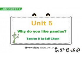 Why do you like pandas?SectionB PPŤWn(3nr)