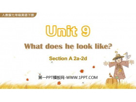What does he look like?SectionA PPTnd(2nr)