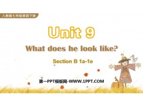 What does he look like?SectionB PPTnd(1nr)