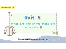 What are the shirts made of?SectionA PPTѧμ(2ʱ)