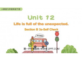 Life is full of unexpectedSectionB PPTnd(3nr)