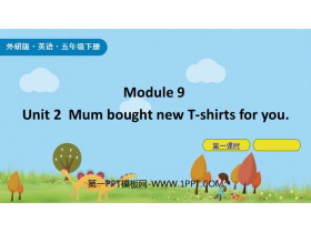 Mum bought new T-shirts for youPPTd(1n)
