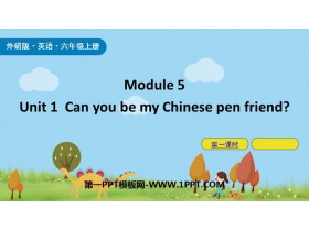Can you be my Chinese pen friendPPTn(1nr)