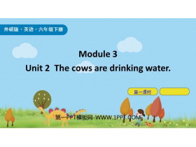 The cows are drinking waterPPTμ(1ʱ)