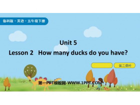 How many ducks do you have?Country Life PPTn(2nr)